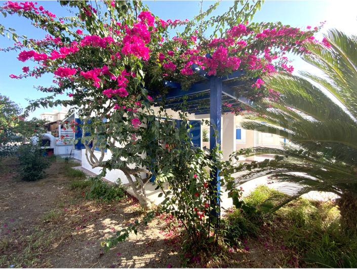 Image No.4-2 Bed House for sale