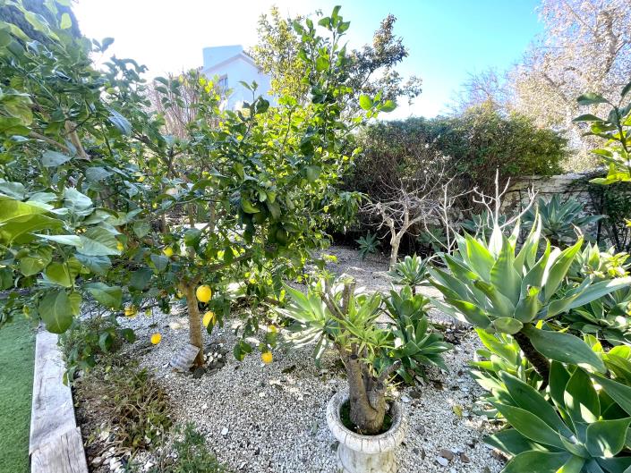 Image No.39-3 Bed House/Villa for sale