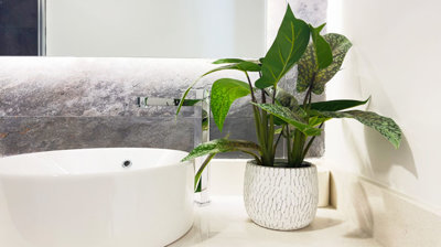 b98le8d7m9k3degpefzhs0lif8u4xzvzhwxtmggyekxx9