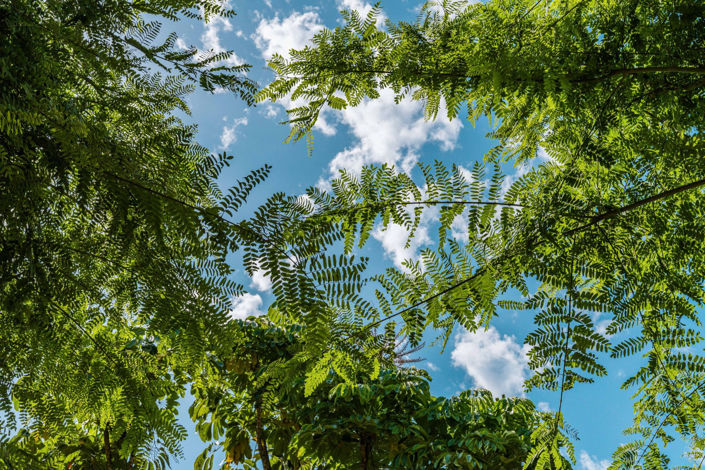 Image No.29-3 Bed Penthouse for sale