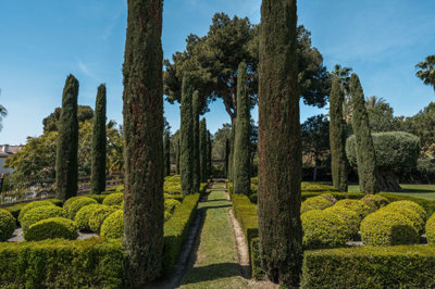 b98le8d7m9k3degpefzhs0lif8u4xzvzhwxtmggyekxx9