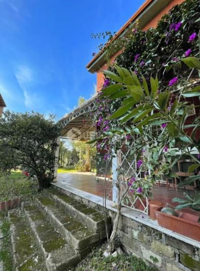 Image No.37-9 Bed Villa for sale