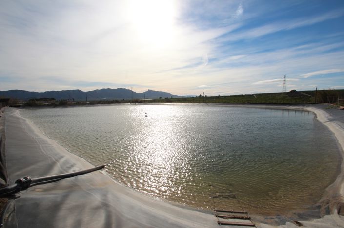 Image No.43-Finca de 6 chambres à vendre à Condado de Alhama