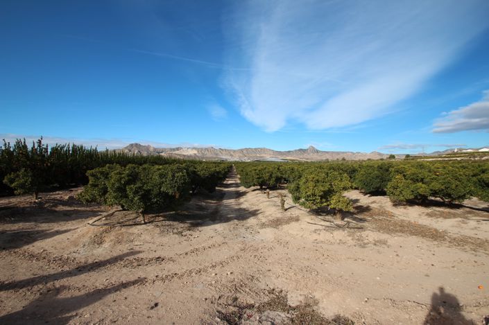 Image No.43-6 Bed Property for sale