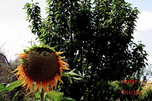 Image No.20-Maison de campagne de 3 chambres à vendre à Condado de Alhama