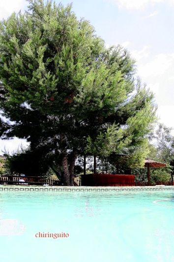 Image No.21-Maison de campagne de 3 chambres à vendre à Condado de Alhama