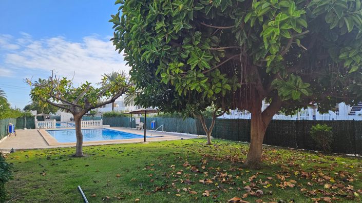 Image No.40-Propriété de 1 chambre à vendre à Torrevieja