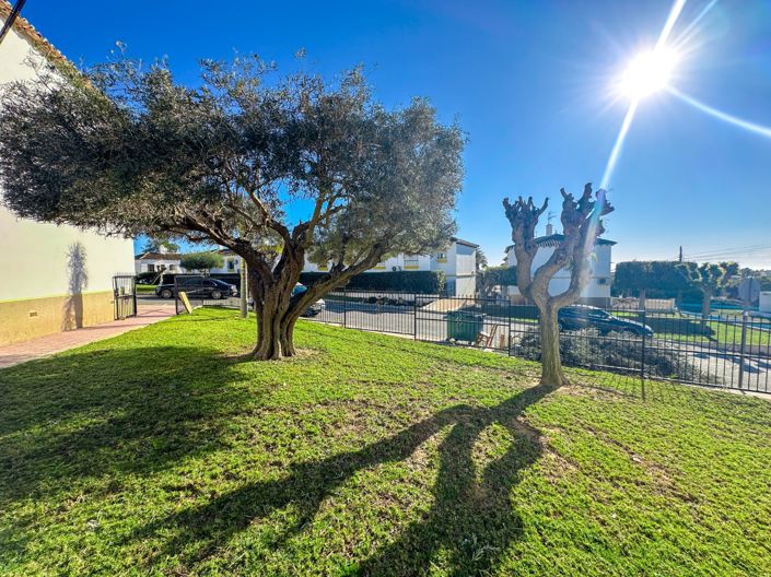 Image No.25-Propriété de 1 chambre à vendre à Villamartin