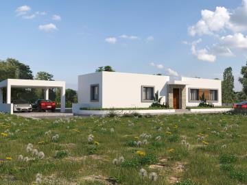 final-daniella-cam-6--copy