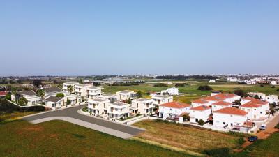 country-compo-5--copy