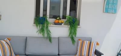 IMG-20260812-WA0007