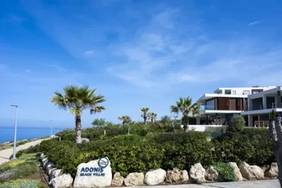 6e66b555-3b11-424d-832f-8c469f69d3d4