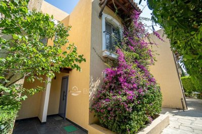 997189b0-da24-4f71-8383-b666c7ef5359