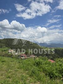 WhatsApp-Image-2025-10-07-at-10-37-17_5b4a26c5