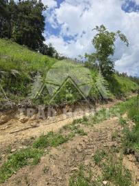 WhatsApp-Image-2025-10-07-at-10-37-17_82d32861