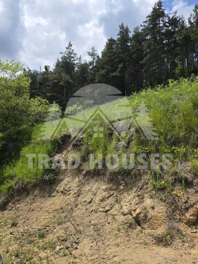 Image No.16-Maison de village de 3 chambres à vendre à Chepelare