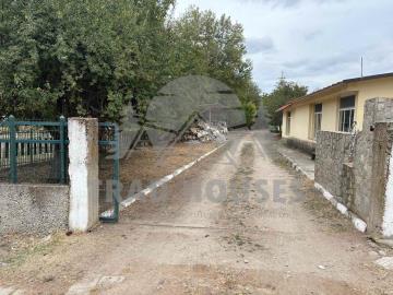 viber_-----------_2025-10-03_12-23-03-062--1-