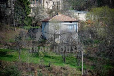 viber_-----------_2025-09-29_15-18-39-564