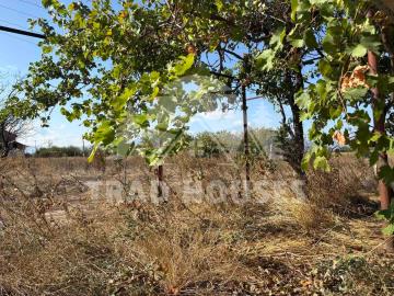 viber_-----------_2025-10-05_11-24-39-567