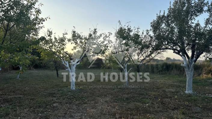 Image No.13-3 Bed House/Villa for sale