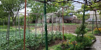 viber_-----------_2025-10-14_14-44-25-269