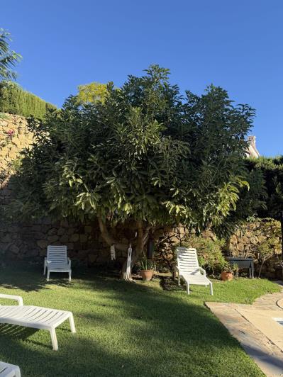 Image No.3-4 Bed Villa / Detached for sale