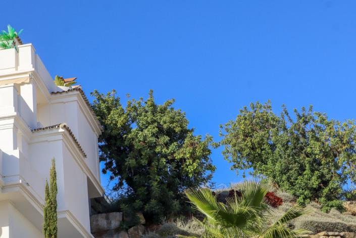 Image No.36-3 Bed Apartment for sale