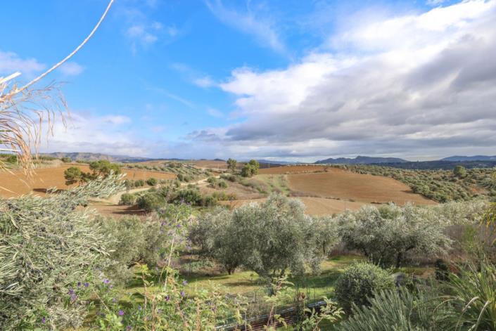 Image No.3-2 Bed Villa / Detached for sale