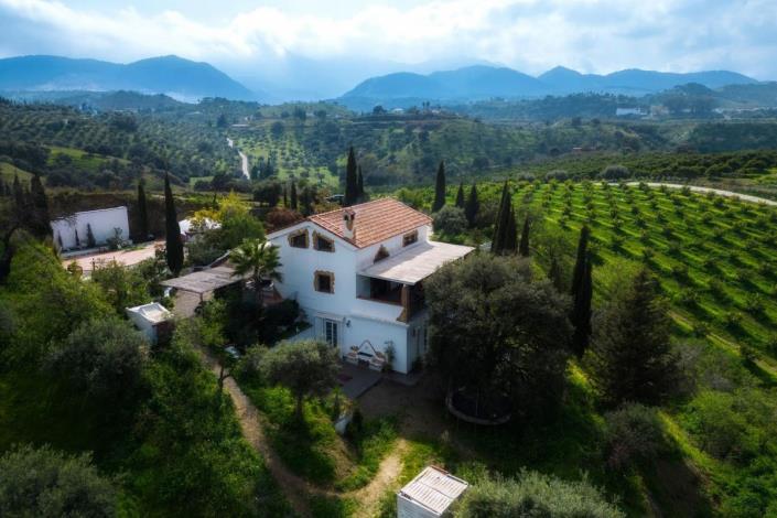 Image No.35-Finca de 3 chambres à vendre à Coin