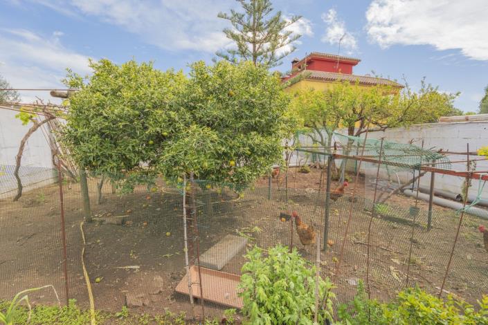 Image No.15-Villa / Détaché de 3 chambres à vendre à Las Chapas