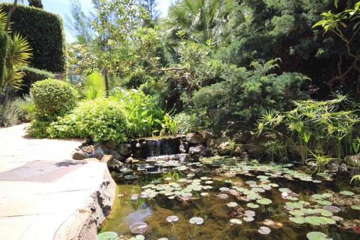 Image No.38-Appartement de 2 chambres à vendre à Riviera del Sol