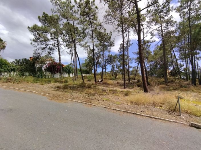 Image No.2-Property for sale