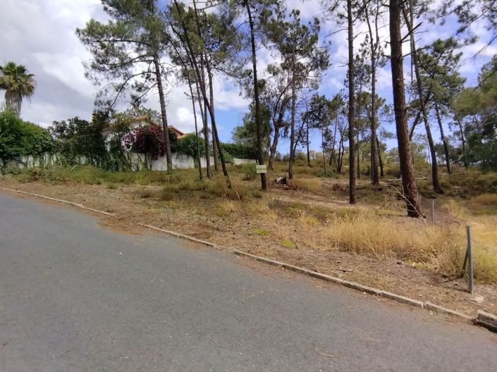 Image No.3-Property for sale