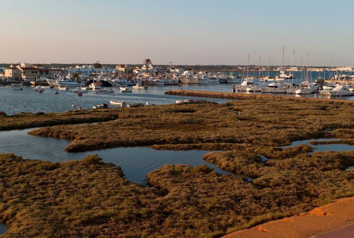 Image No.6-Propriété à vendre à Ayamonte