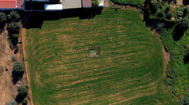 Image No.4-Terre à vendre à Paralimni