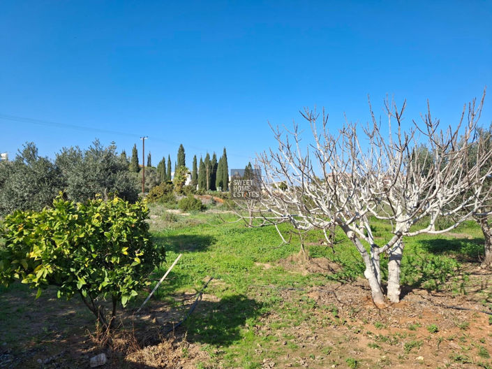 Image No.35-5 Bed House for sale