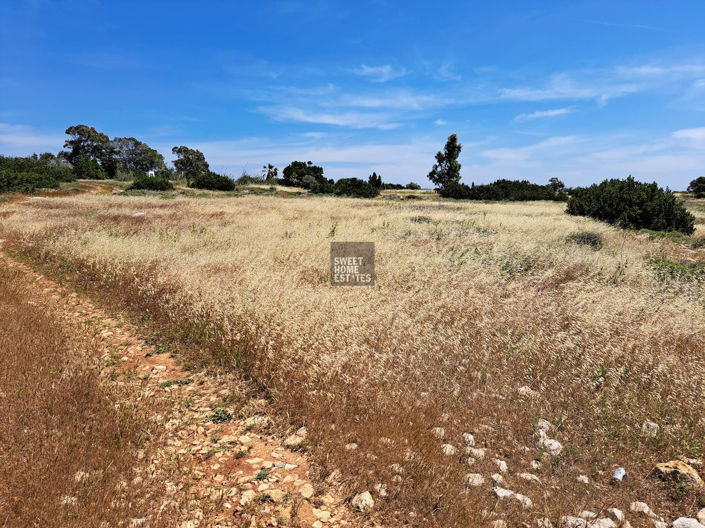 Image No.7-Terreno en venta