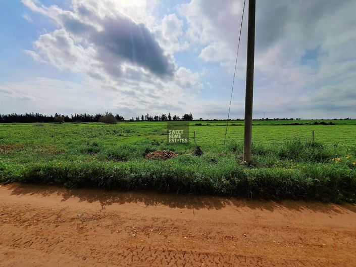 Image No.2-Land for sale