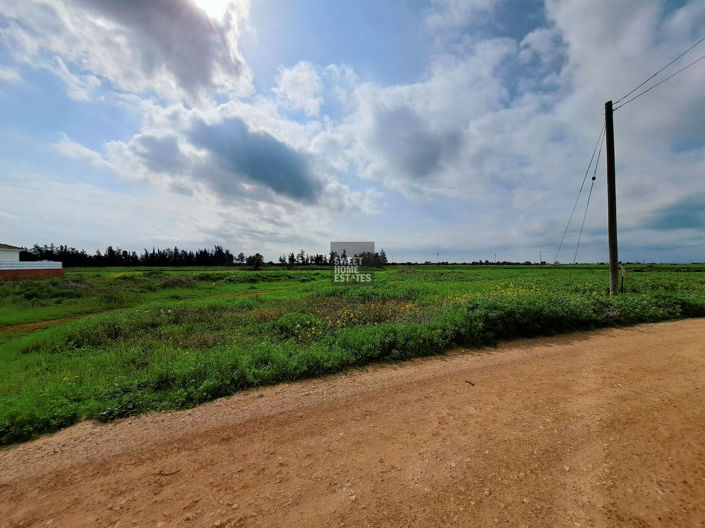 Image No.3-Land for sale