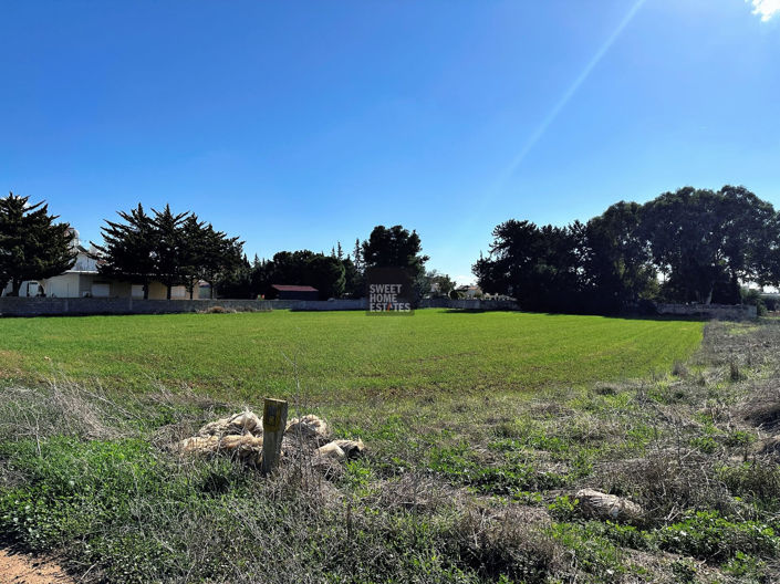 Image No.4-Land for sale