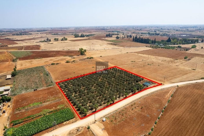 Image No.4-Land for sale