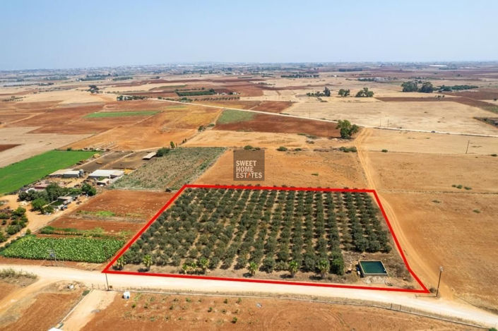 Image No.5-Land for sale