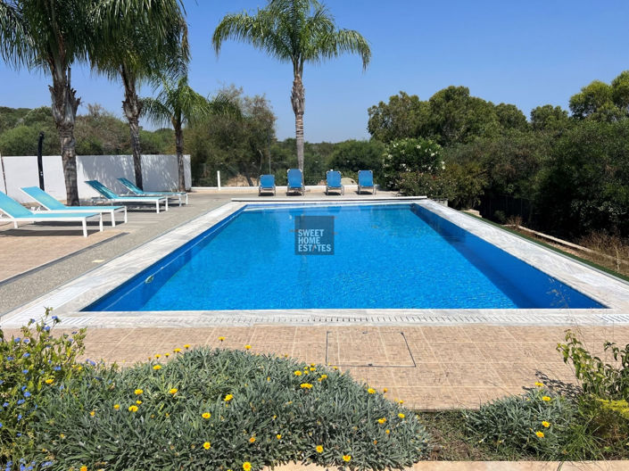 Image No.3-6 Bed House for sale