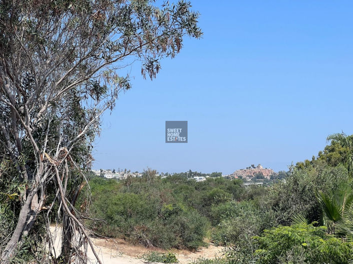 Image No.38-6 Bed House for sale