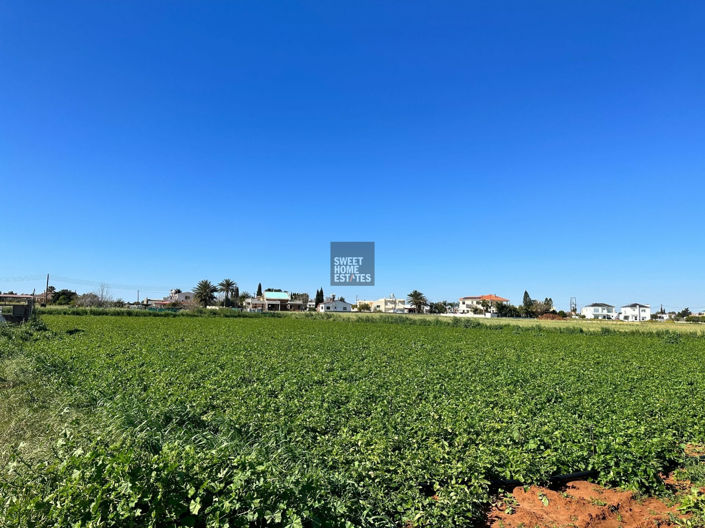 Image No.4-Land for sale