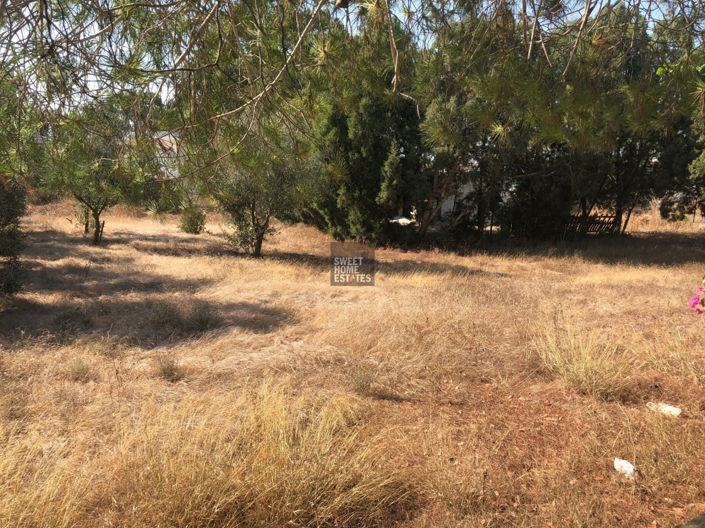 Image No.43-5 Bed House for sale