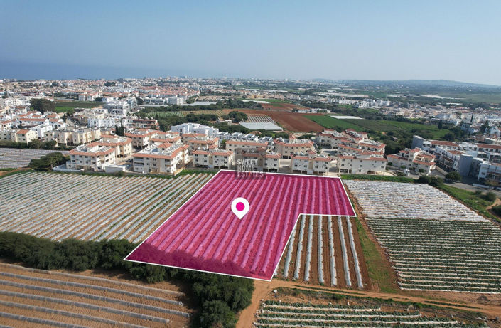 Image No.3-Terre à vendre à Kapparis