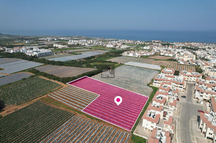 Image No.4-Terre à vendre à Kapparis