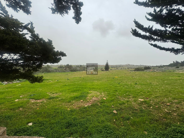 Image No.24-4 Bed House for sale