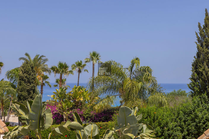 Image No.28-3 Bed House for sale